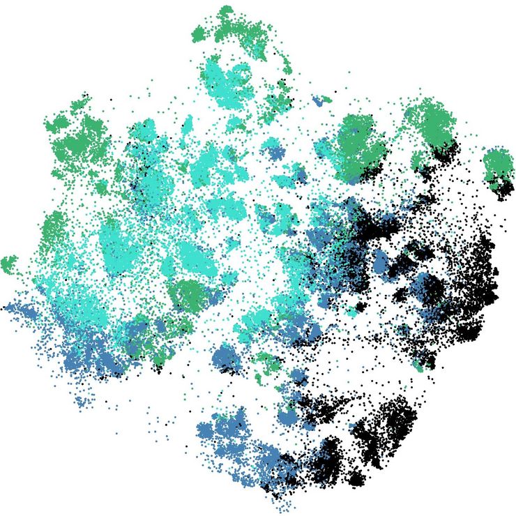 Neural Data Structure and Representation