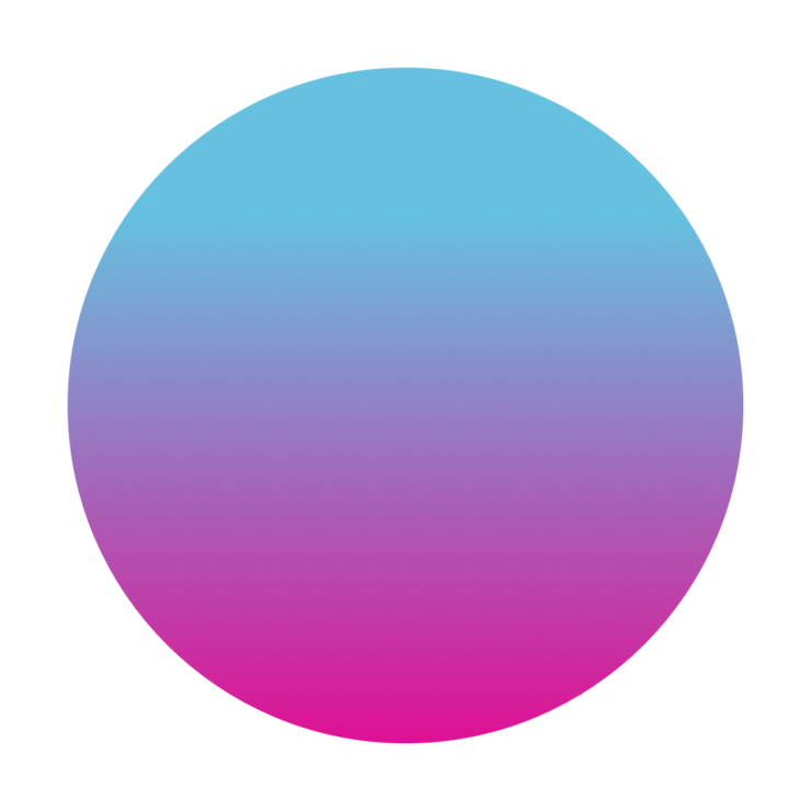 Hertie AI Fellow Program